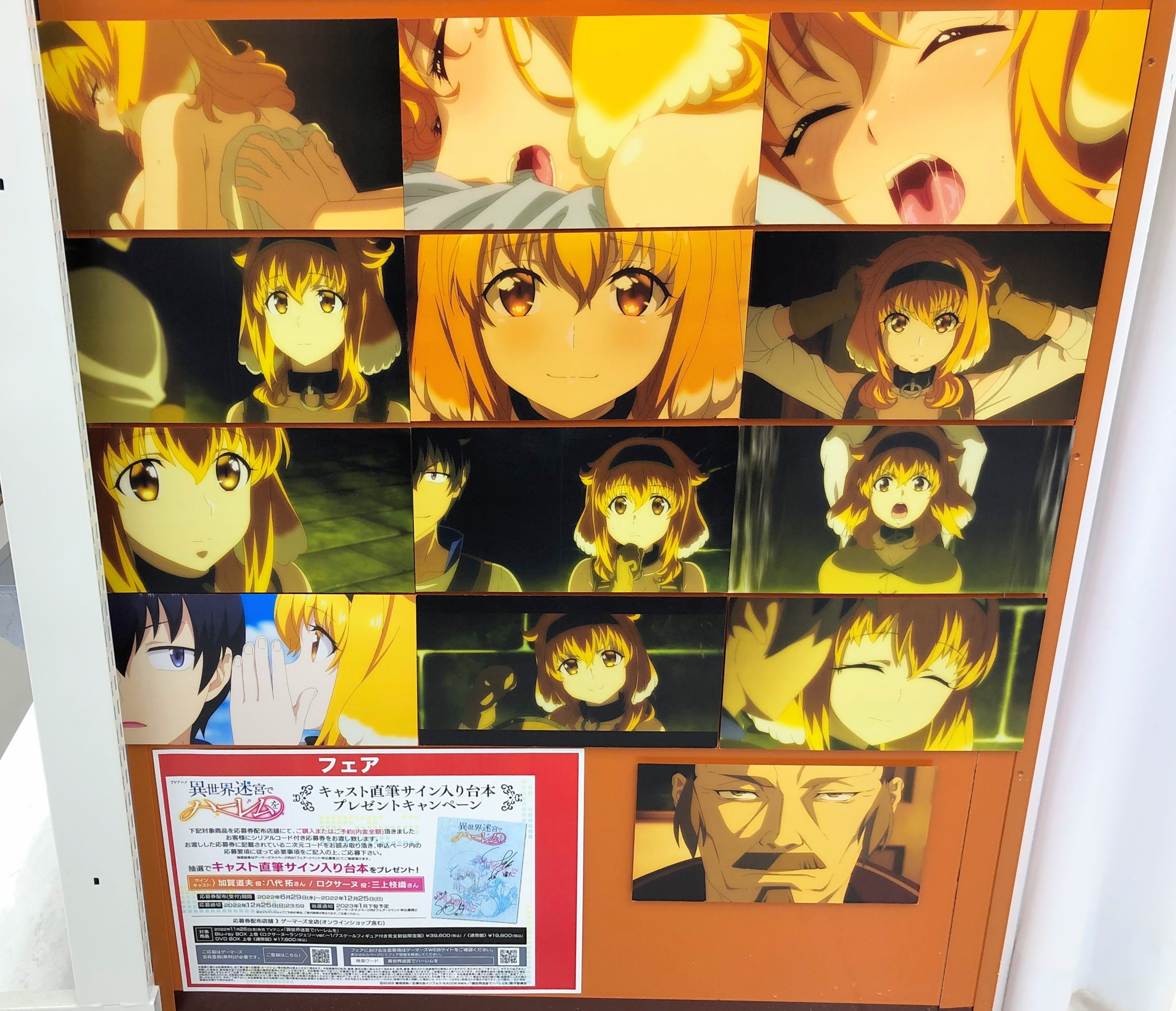 異世界迷宮でハーレムを Blu-ray BOX 超ハーレムver