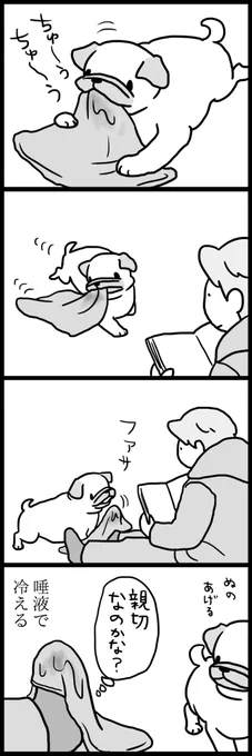 やさしい犬 