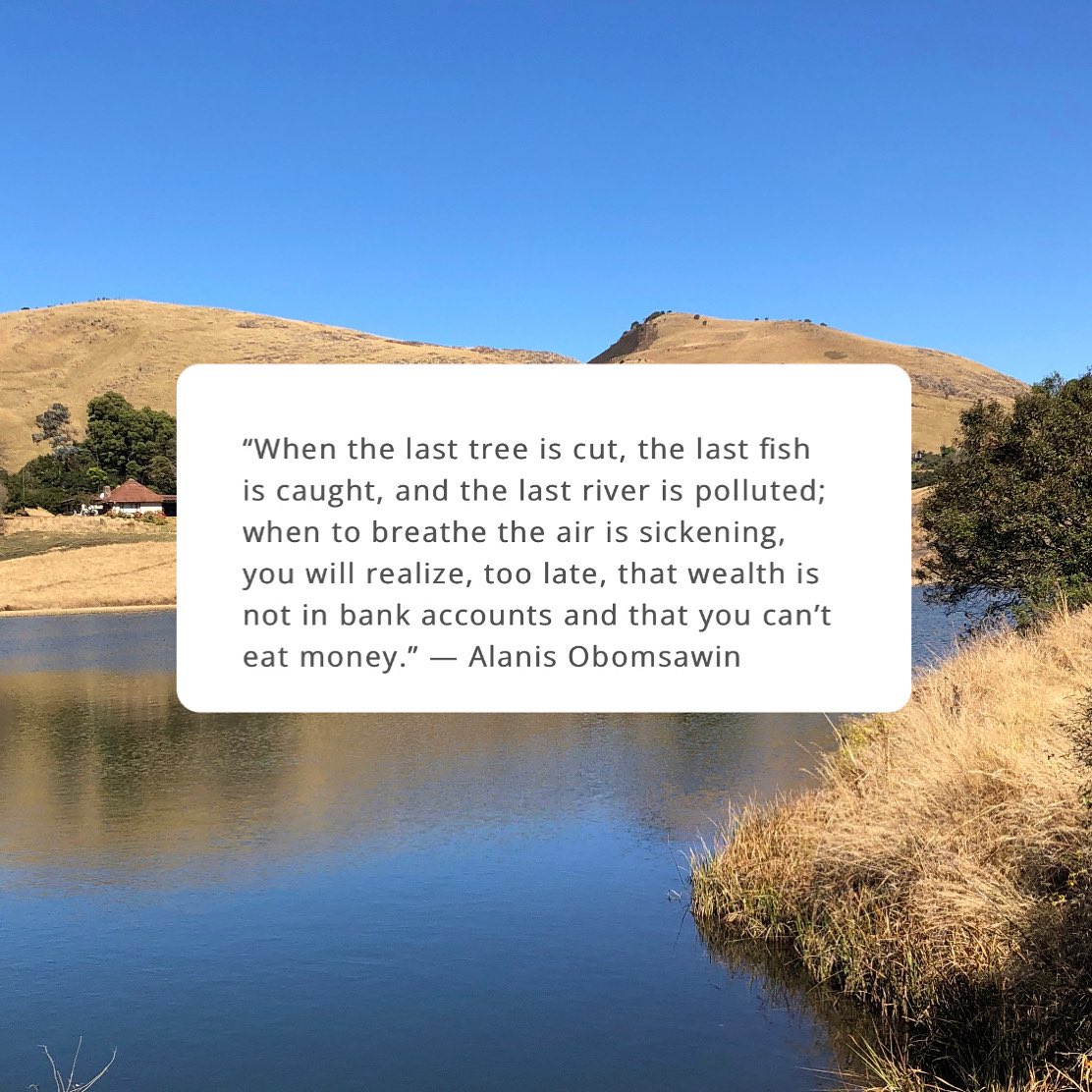 kuminaidoo's tweet image. We need to overcome the pathological disease called affluenza - the belief that a meaningful life comes from material wealth. In a finite planet, resources need to be used in a more sustainable &amp;amp; equitable way that reflects love &amp;amp; respect for our Earth, animals and each other.