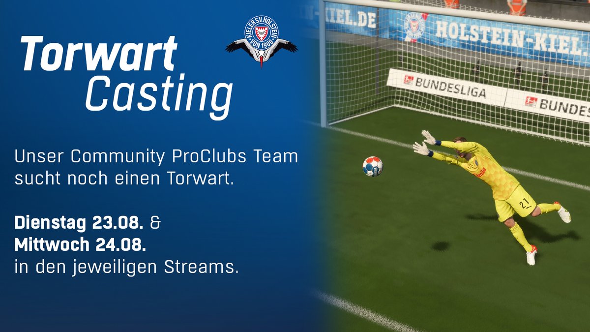 HolsteinEsports tweet media