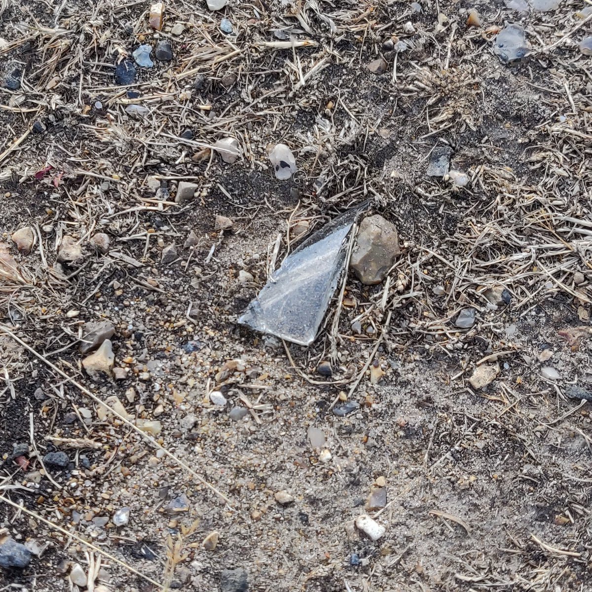TobyNewberry's tweet photo. Found this piece of glass while hiking on a trail yesterday... totally picked it up 😇 https://t.co/UPg0r16ewo