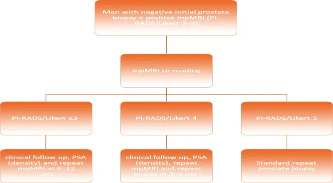 EUplatinum's tweet photo. Prostate Cancer Detection Percentages of Repeat Biopsy in Patients with Positive mpMRI (Prostate Imaging Reporting and Data System/Likert 3–5) and Negative Initial Biopsy. A Mini Systematic Review 

https://t.co/BEc53sOBmM 

@nicgrivas @Lardas_M https://t.co/y1hhFVnErc