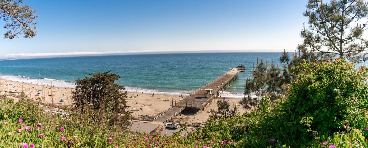 ThatsMyPark's tweet photo. Take a moody photo of the concrete ship at sunrise or sunset at Seacliff State Beach. From cotton candy skies to perfect sunsets, Seacliff State Beach has a lot of beauty to offer. #FindNewAdventure π’π
https://t.co/pRNGFTQRKa