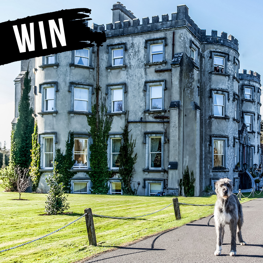RomanticCastles's tweet photo. 👑WIN👑 Who wants to feel like a Queen/King? 🤩 We have teamed up with @cloud10beauty to giveaway 1 night B&amp;B at one of our Castles, along with a bundle of Cloud 10 goodies 😱 

✨Like this post⁠
✨Tag a friend⁠
✨Follow @cloud10beauty &amp; @romanticcastles
⁠
T&amp;C's Apply❤️⁠ https://t.co/ybU3KVORmB