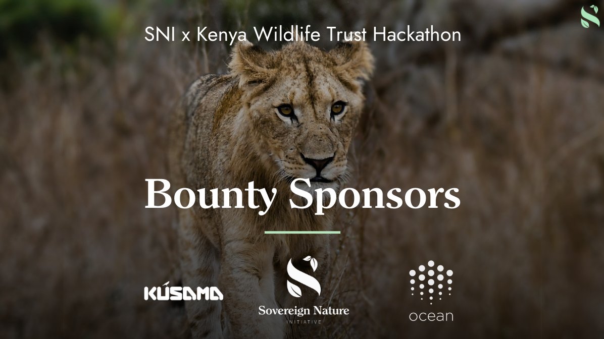 (1/2) Last week, we received news that our @kusamanetwork treasury proposal got approved for 320 KSM, today's market value of 15,324 EUR ‼️🥳 We'd like to thank the #Dotsama community for their support of our SNI x @KenyaWildTrust Hackathon. More info: bit.ly/sni-kwt-hackat…