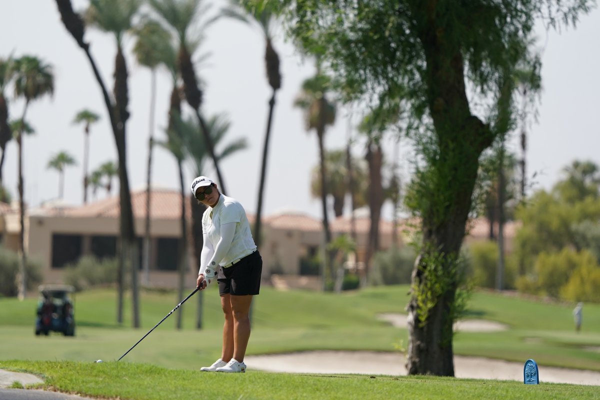 Michigan State Women's Golf tweet media