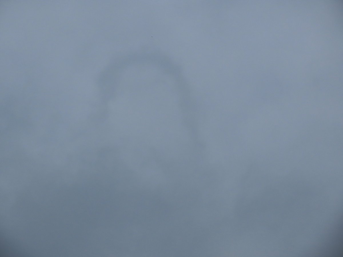 Kevin Bradshaw tweet media