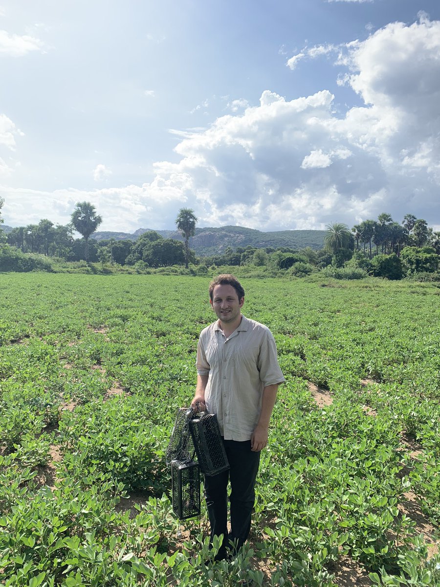 BarlowBio's tweet image. Grateful to start my RA work in Vellore, India. Trapping rodents and searching for “chigger” mites with Ricketsiall bacterial infections. Any tips on dealing with extreme heat are very welcome !