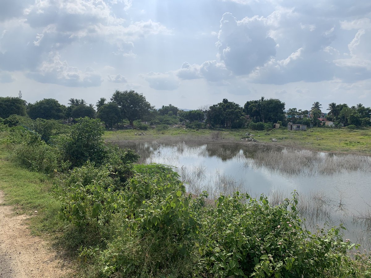 BarlowBio's tweet image. Grateful to start my RA work in Vellore, India. Trapping rodents and searching for “chigger” mites with Ricketsiall bacterial infections. Any tips on dealing with extreme heat are very welcome !