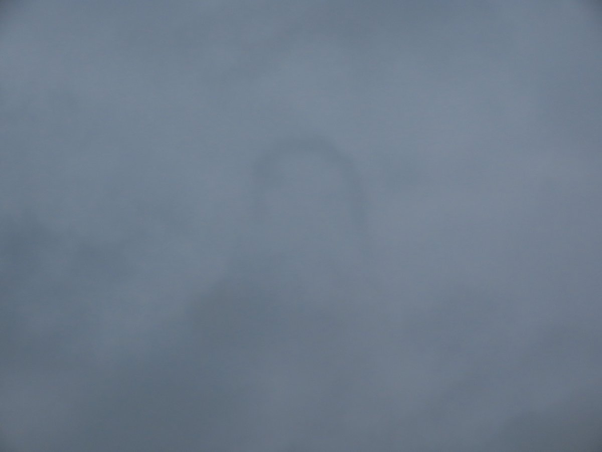 Kevin Bradshaw tweet media