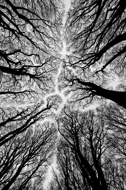 archillect's tweet image. 