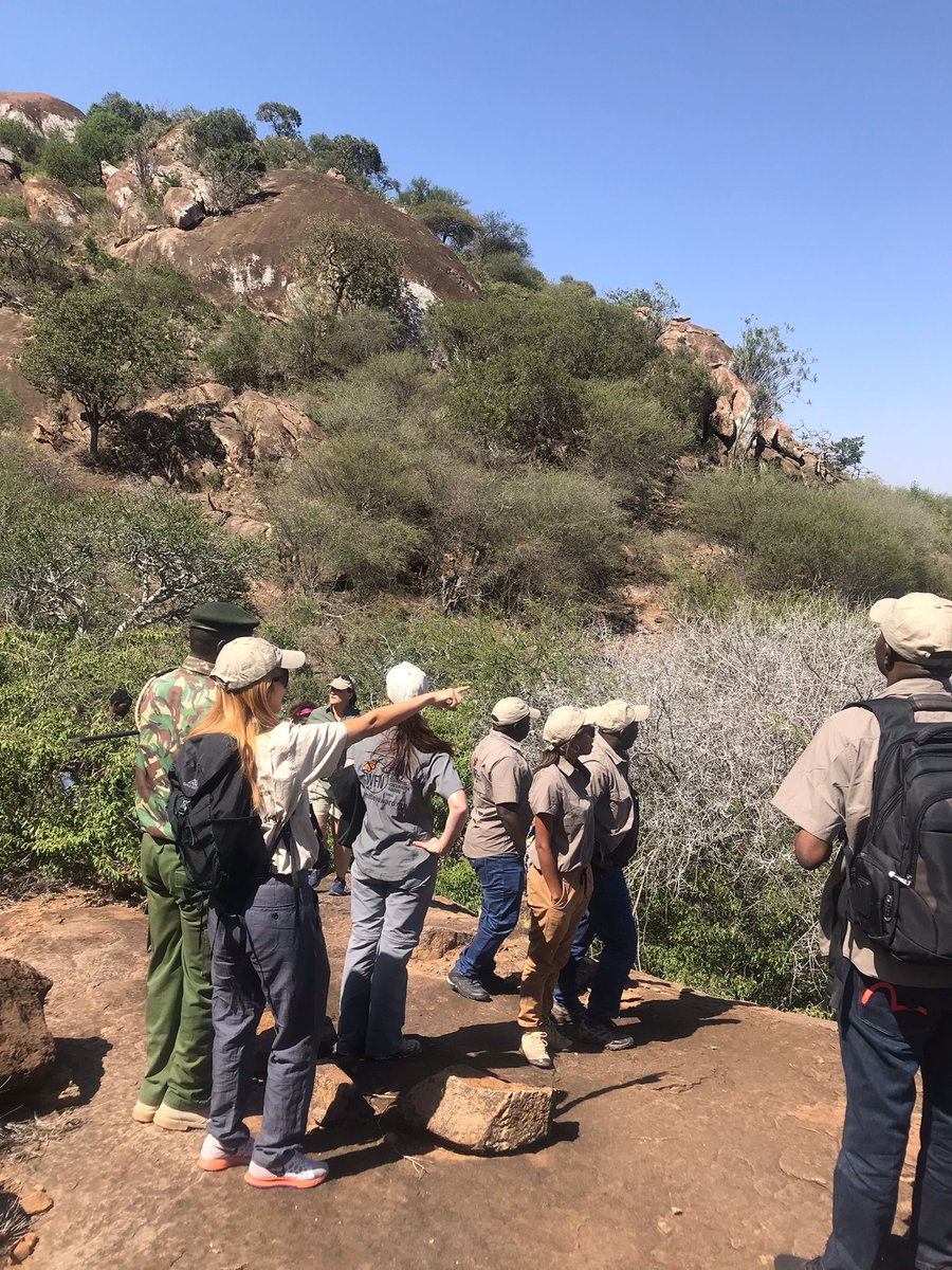 WhitleyAwards's tweet photo. Kicking off with a field excursion, today’s sessions at Mpala Research Centre included an overview of Conservation Management and a refresher on the importance of communications in helping organisations to achieve their goals courtesy of WFN alumni @dinomartins and @paulakahumbu. https://t.co/dhVb6eZqYJ