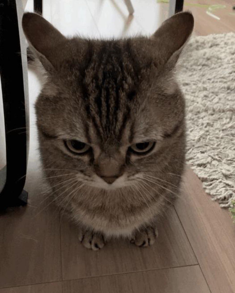 MegaBrick1's tweet photo. @hujnin2 @aeon_papa @GreenTextRepost mfw they don’t know https://t.co/nDbzE6B80I