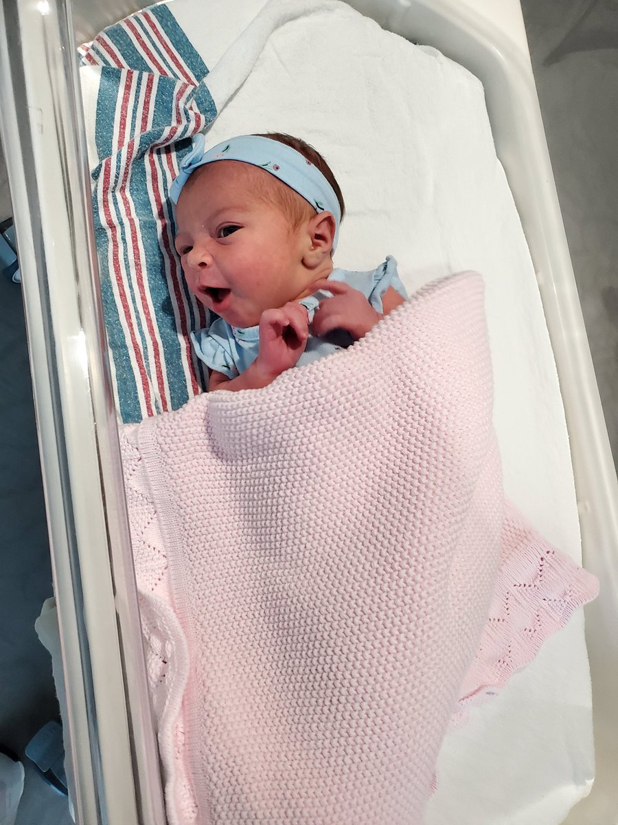 sarahkwhat's tweet photo. But like...okay yeah I get to snuggle her forever now so 💕🥰💕 #butUShealthcareandemploymentisajoke https://t.co/qh2gb2rGRn