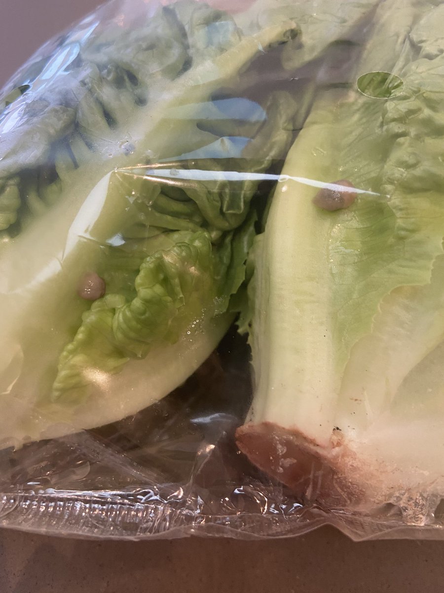 Ellie McCall tweet media