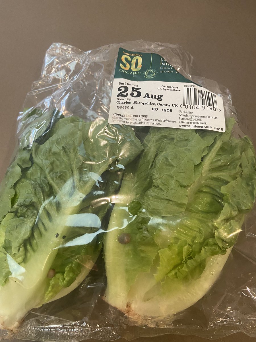 Ellie McCall tweet media