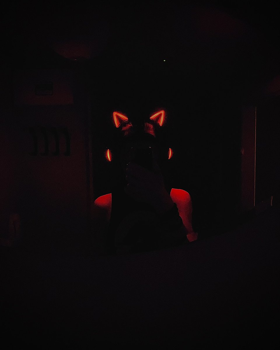 Caution, subject 8122 is loose and may have free will, do not approach we are unable to put it into a trance. Reprogrammation attempt was halted in mid progress. We are attempting to remotely put it into a trance to add restraints to help control this haywire drone