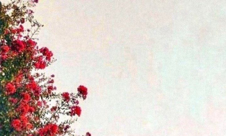misslavv_'s tweet photo. •”sonra karşısına songül çıktı,hoşlanmaya başladı.Sevdi belkide..ama en çok gülüşünü..”♥️
#GelsinHayatBildiğiGibi #SadGül https://t.co/OPwKHYCq4i