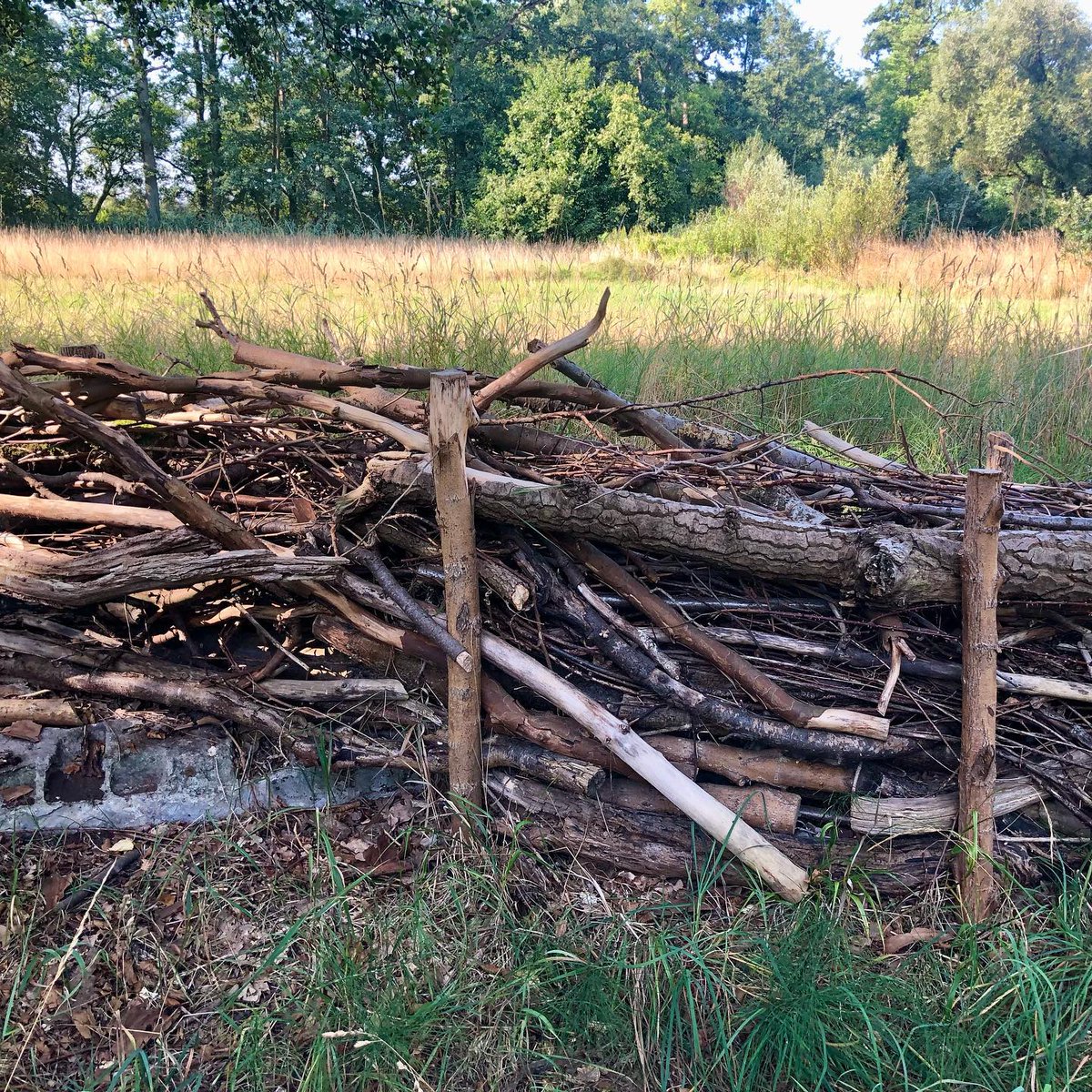 architektur_de's tweet photo. Lebensraum für viele: Totholzhecke im Park der Burg Lenzen (Elbe)
#elberadweg #landschaftsarchitektur #gartendesign #benjeshecke #totholzzaun
👉🏻 https://t.co/pjzHNQWP5e https://t.co/roLkPADp9a