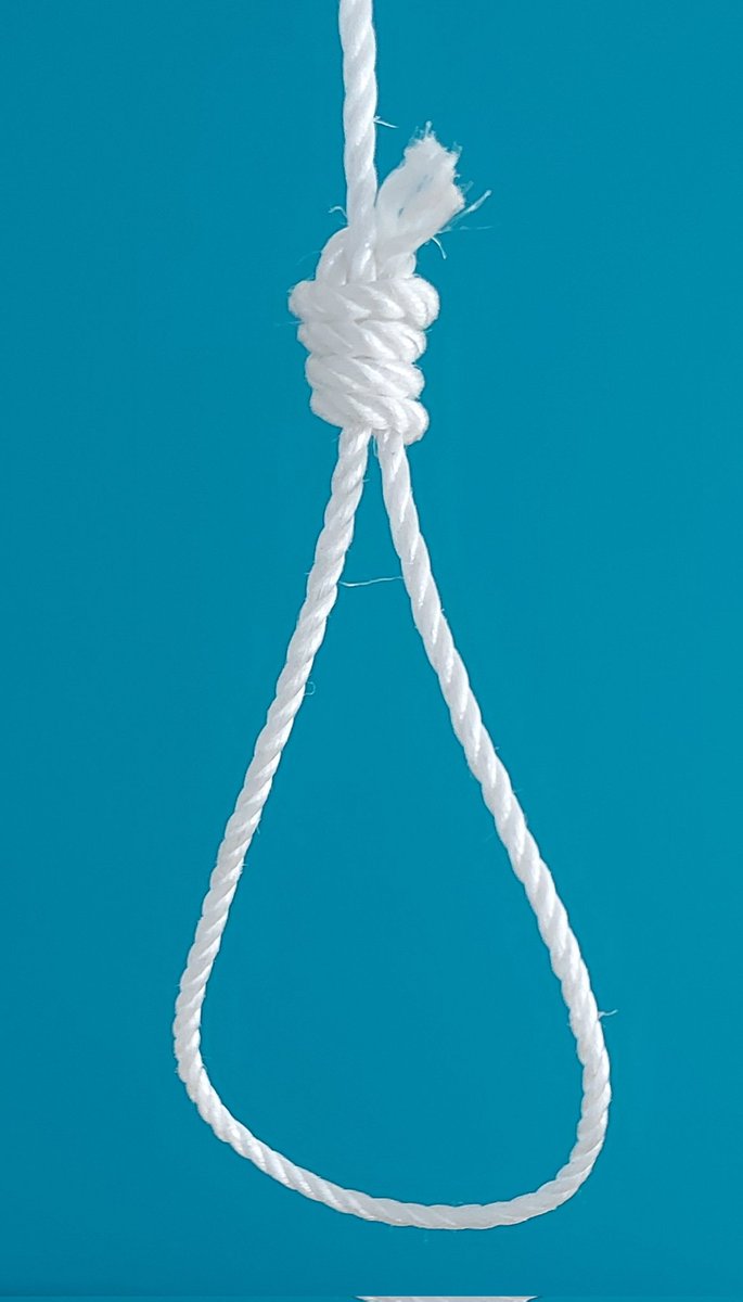 HBrubanter's tweet photo. Can be refashioned into a trendy noose.
#StrangleWank https://t.co/5XYU5gWDce