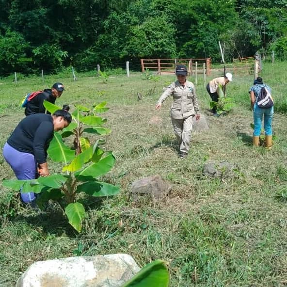 mineczulia's tweet image. El Programa #Conservando tiene como objetivo implementar a nivel nacional acciones contundentes para la preservación de áreas boscosas y especies forestales en peligro de extinción en territorios intervenidos por el hombre
#EcosocialismoEsLaTendencia
@MinecOficial