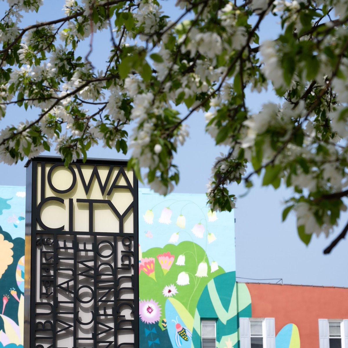 Iowa Intensive English Program tweet media