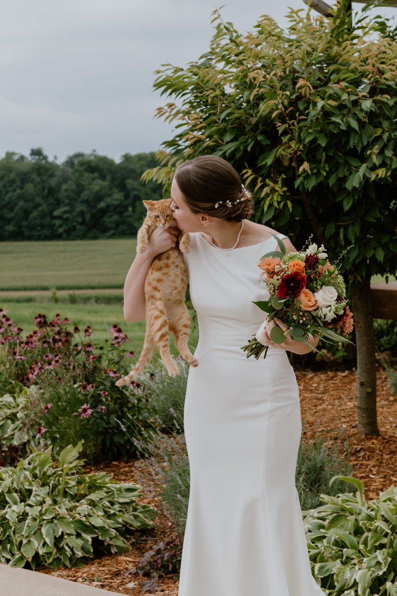 If everyone could please have pets at their wedding, that'd be great, thank you