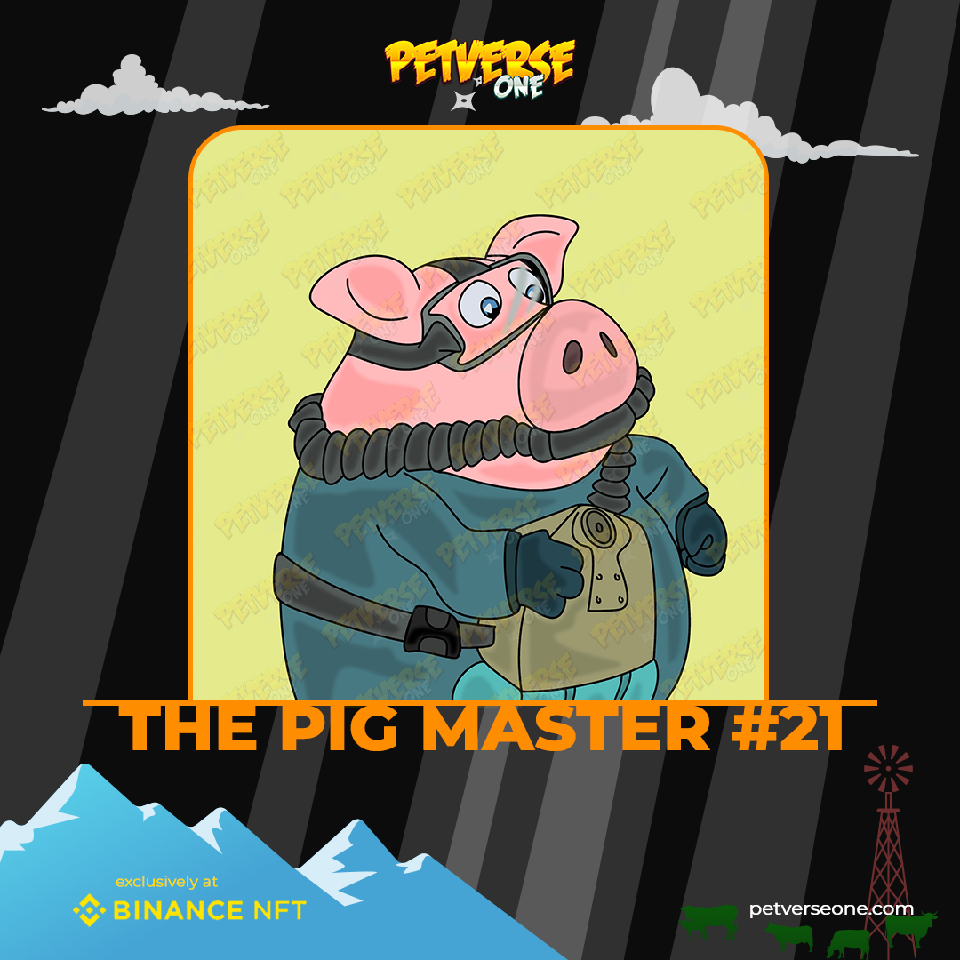 petverseone tweet media