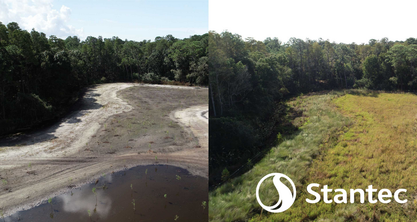 This month's #RestorationStory focuses on a wetland mitigation project in Florida by @Stantec 

Read the full story: ser.org/news/612643/St…
