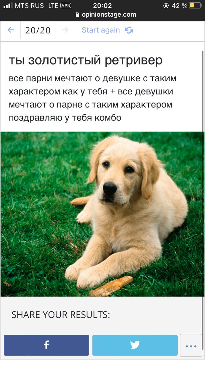 Поняли