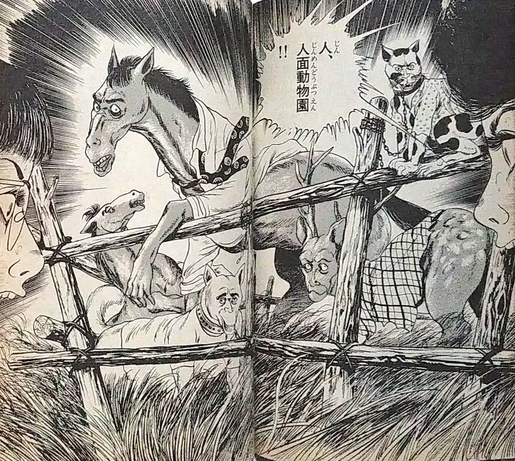 石井まさみ名義でエロ劇画を描きまくっていた氏がリップウレモンホラーに"岬マヤ"として降臨、エロ劇画時代と同じノリで滅茶苦茶なスカムホラーを描き逃げている。
登場人物が様々な動物にされた挙げ句殺されまくる「恐怖!呪いの鍾乳洞」は、本編よりもプロフィールの方が怖い点が大変素晴らしい。 