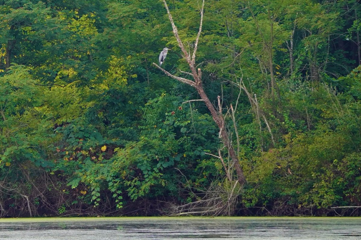 NEPADOC1's tweet photo. Hello Twitter! The teaser trailer for our forthcoming documentary film about Northeastern Pennsylvania, "NEPADOC," will premiere next month! 

Until then, we will be highlighting some of the great folks who have been helping us along the way. Follow us here and stay tuned! https://t.co/a3roGOiSCF