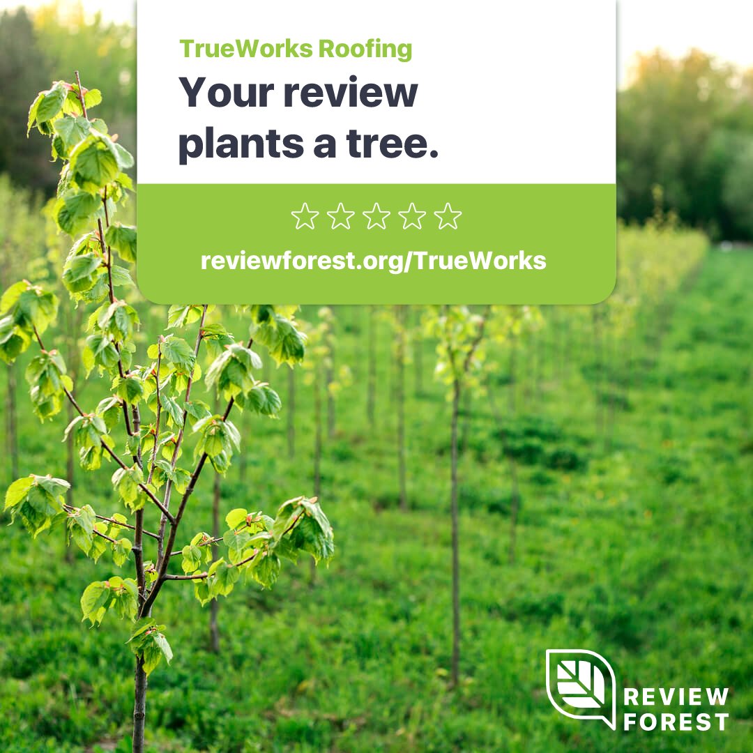 TrueworksR's tweet photo. When you post a review for us  😀 on  - it benefits the environment  🌿 because your review plants a tree  🌲   

#review #testimonials #roofing #newroof #houstonroofer #roofrepairs #roofreplacement #reviews #leaveareview #savetheenvironment https://t.co/mJYFId5B9h[...] https://t.co/sbXsMLbly9