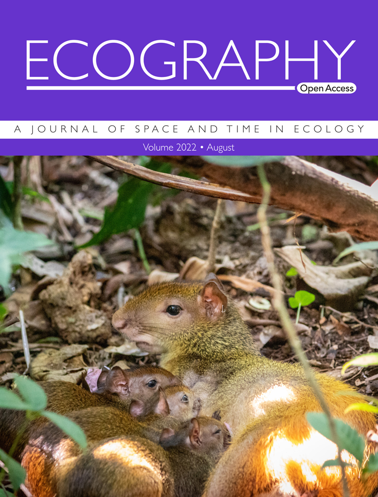 Cover: Trophic rewilding benefits a tropical community through direct and indirect network effects 
Full article: onlinelibrary.wiley.com/doi/10.1111/ec… #ECCB2022