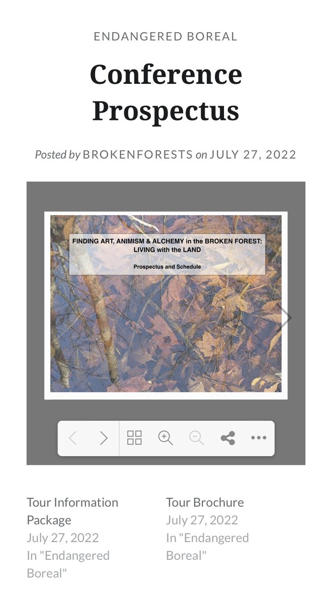 So excited to participate in the ⁦<a href="/BrokenForests/">broken forests</a>⁩ conference discussions today. Artists from all over the world learning, caring, making a difference. Even a small change matters.