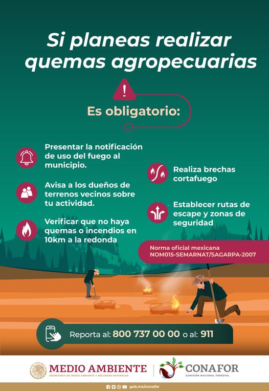 Comisión Forestal tweet media