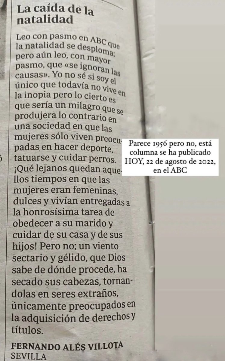 Alba Casares tweet media