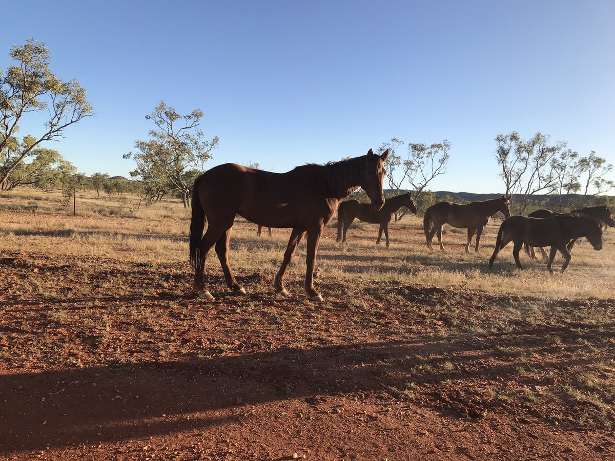Some field snaps from the CMMI field trip around Mount Isa