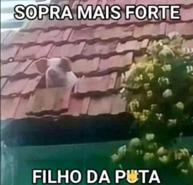 shitpostverdade's tweet photo. https://t.co/2yChc8Ily5