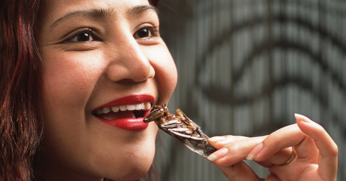 Emre on Twitter &quot;Veganlar da bu tartışmada büyük ofsayta düştü yalnız