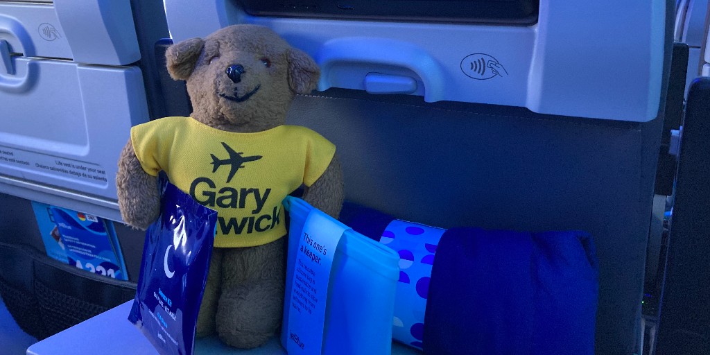JetBlue on Twitter "Can you tell we’re beary excited about this one