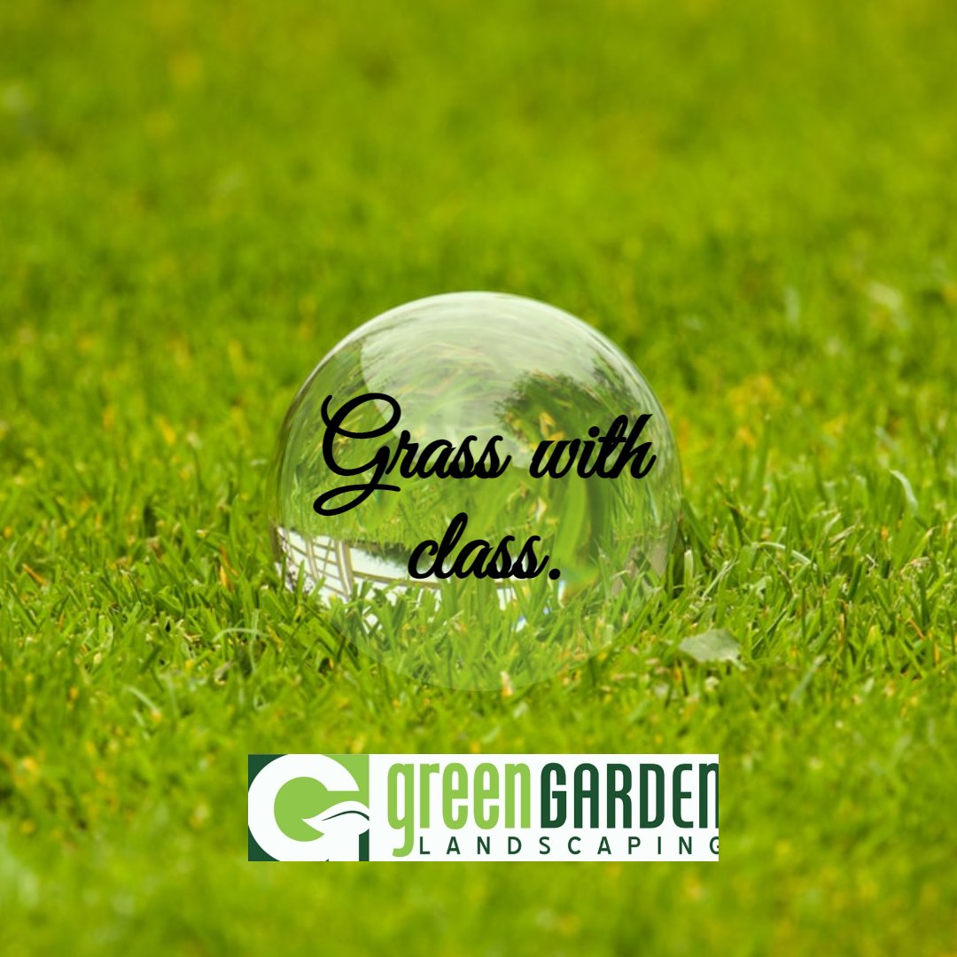 GGL_LC's tweet photo. Indeed, we need grass with class! If you have problems with your lawn and need our service in Cameron and nearby areas, call us today at (919) 478-1852
#lawncare #lawn #aeration #greengarden #landscaping #wecare #lawnexperts #sanfordnc #cameron #vassnc #springlakenc #pinehurstnc https://t.co/K3zuxH4Xgp