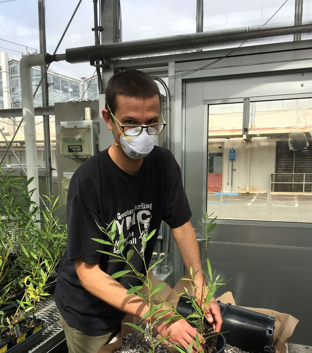 GCAScholarships's tweet image. Congratulations Kyle Rosenblad @KyleRosenblad Phd cand @UCBerkeley recipient of ‘22 GCA Peacock Scholarship for #NativeBird Habitat; one of 78 @GCAScholarships awarded. ow.ly/BAYr50II412