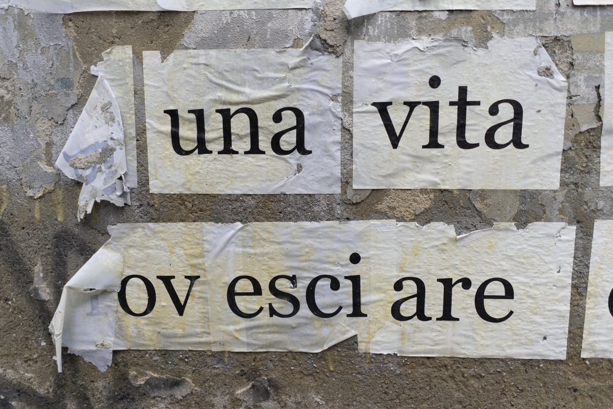 vbuzzi tweet picture