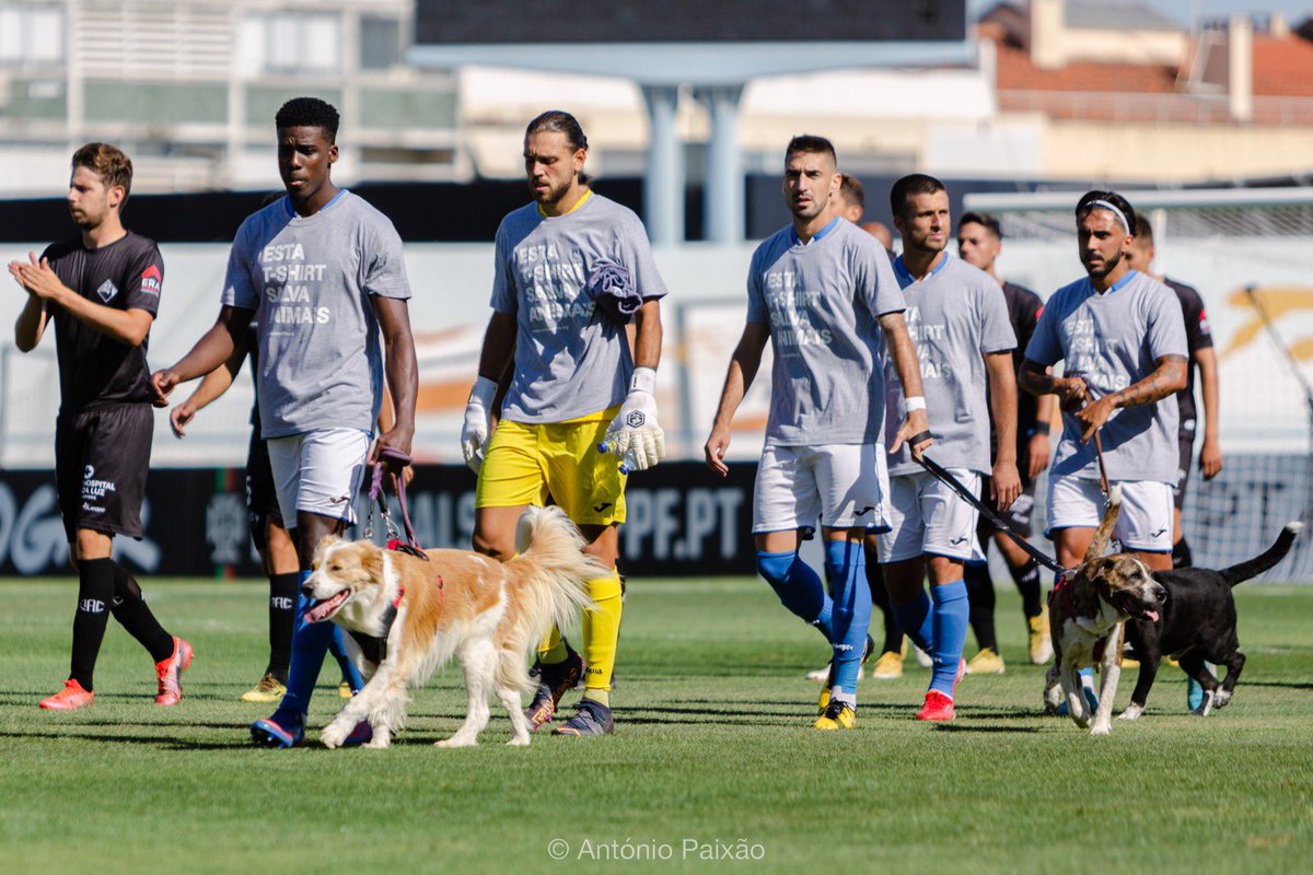 CFosBelenenses's tweet photo. 💙🐶 O pontapé de saída da Liga 3 no Restelo ficou marcado pela associação do #Belenenses à União Zoófila no Dia Internacional do Animal Abandonado. 

🤔 Sabias que em 2021 foram abandonados em Portugal 43 mil animais tendo sido adoptados 25 mil?
#tweetpastel https://t.co/Q2yTy1pNGb