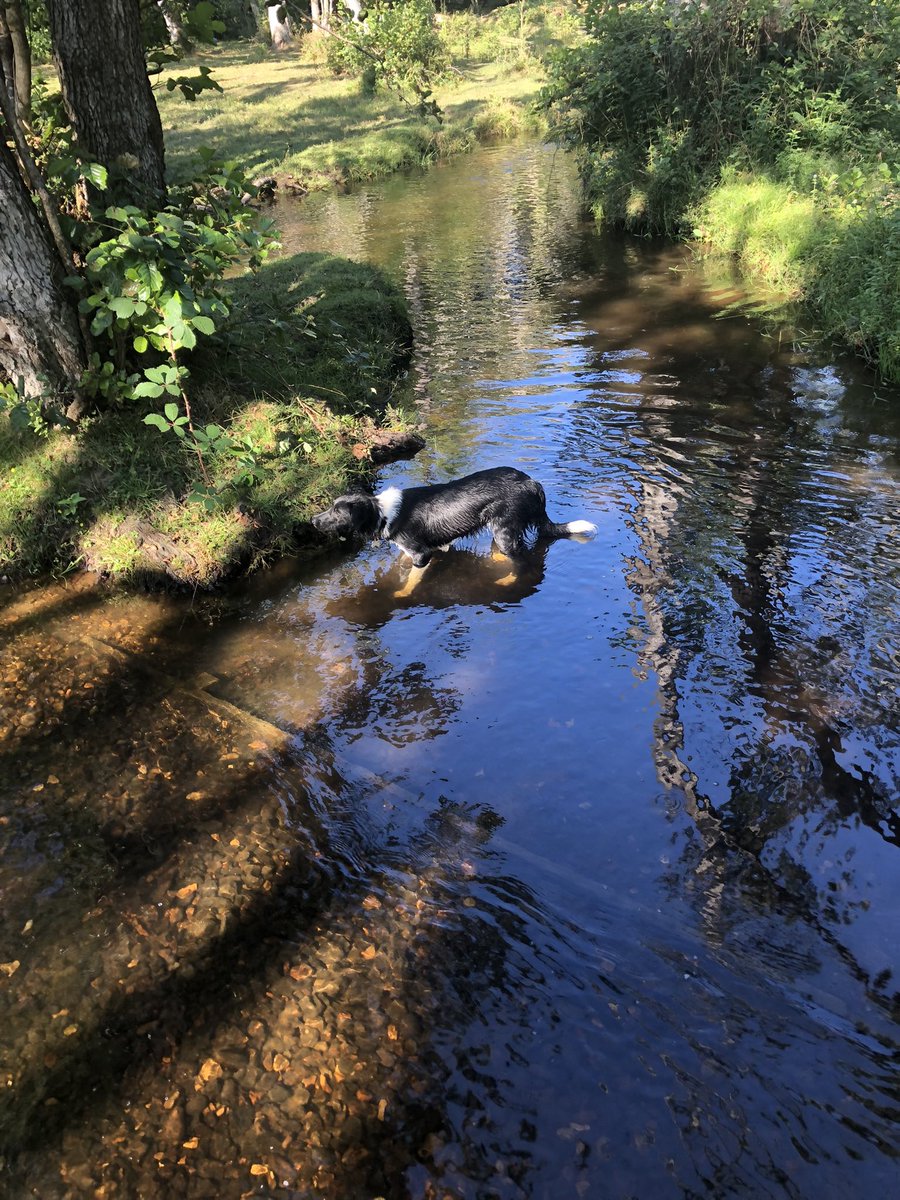 moonandmuttley's tweet photo. @PaulyKendrick Here’s our water baby to help lift your day. https://t.co/IMLJr7mQEI
