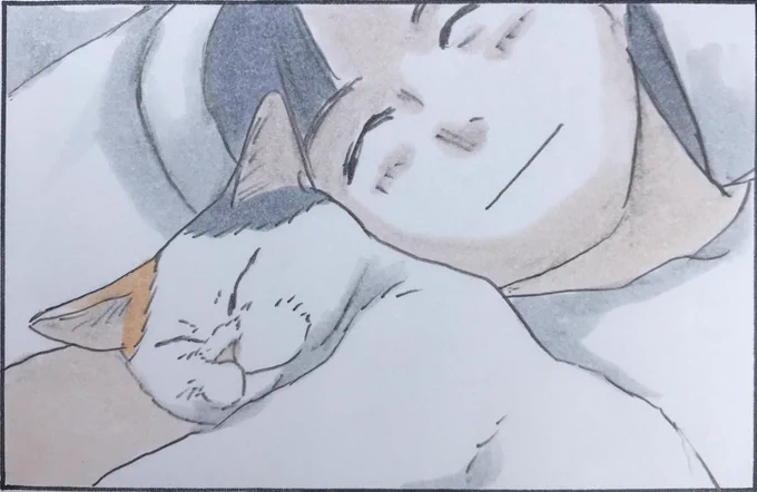 『最高の入眠』 