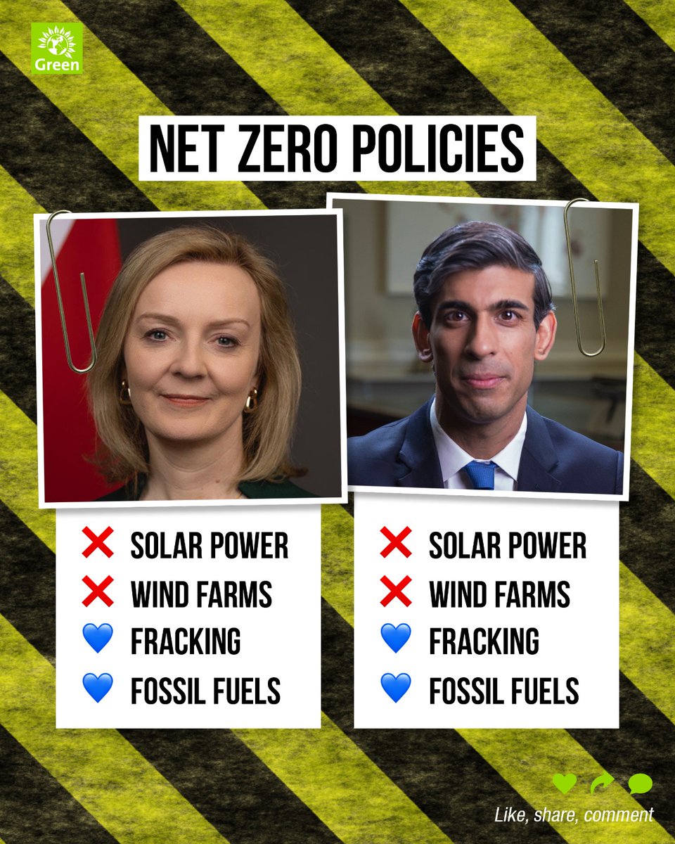 TheGreenParty tweet picture