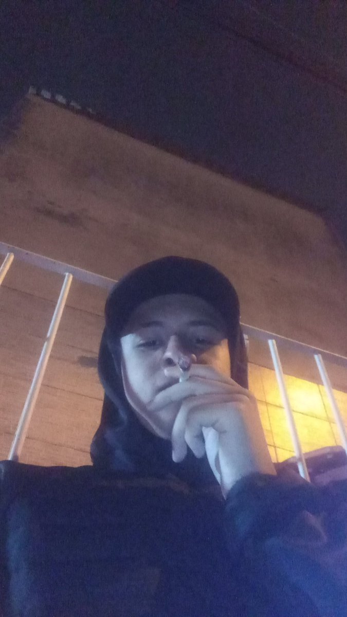 🦉🕊️