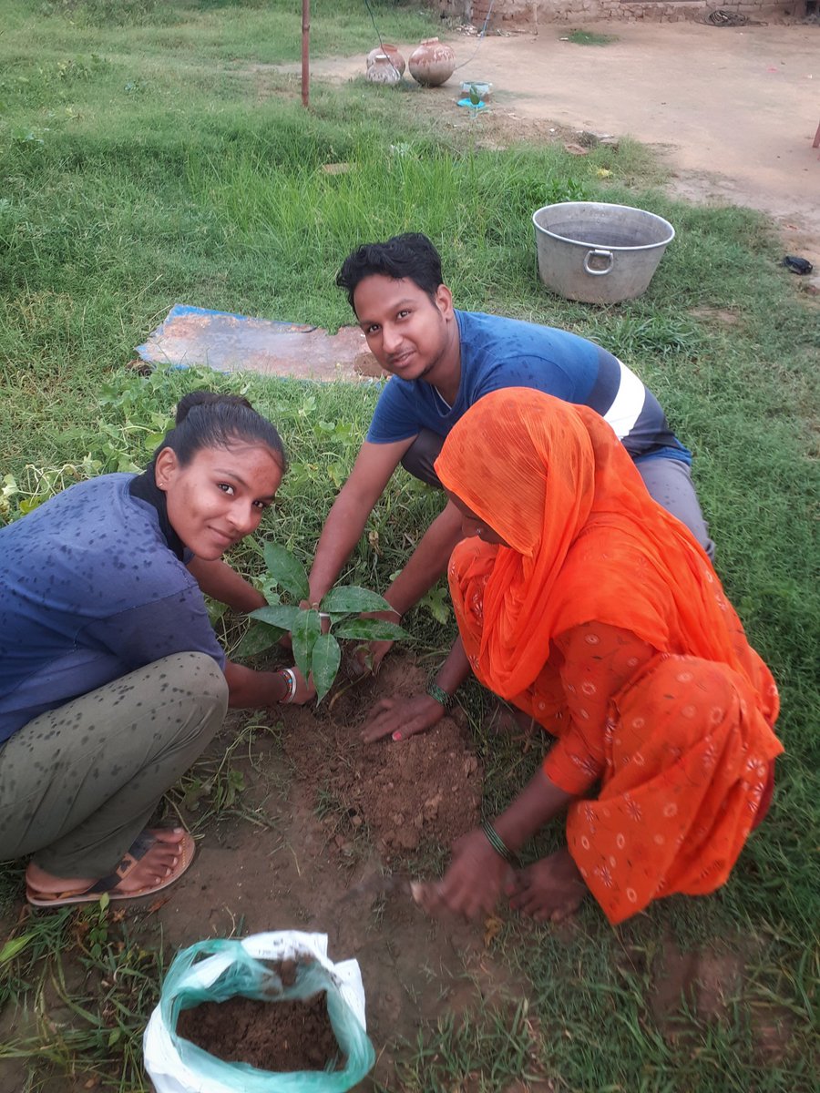 b_ram16's tweet photo. Successfully Planted 1046 tree 🌲♥️ #savetree #savenature #TreePlantation https://t.co/DA8lOjVl5G